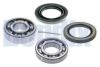 SUBAR 806230010 Wheel Bearing Kit